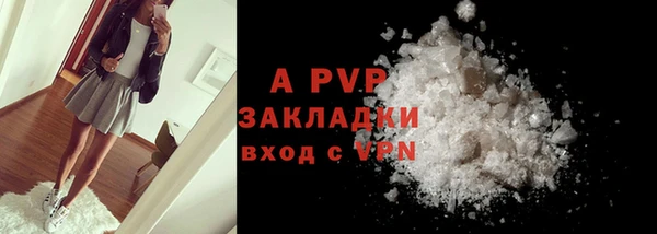 стаф Алексин