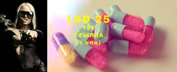 стаф Алексин