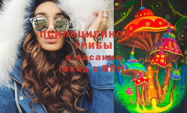 твердый Алзамай