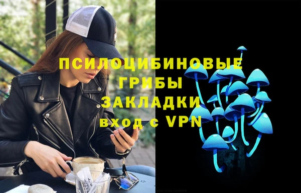 твердый Алзамай