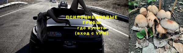 твердый Алзамай
