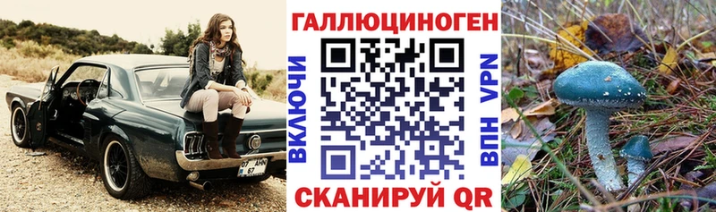 hydra зеркало  Киров  Галлюциногенные грибы мухоморы 
